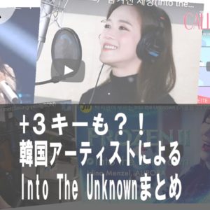 [Kpop]＋３キーも？！韓国シンガーたちのInto The Unknownまとめ